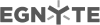 Egnyte logo grey